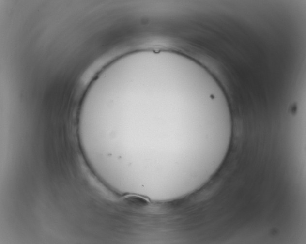 X0000115181480200911251345