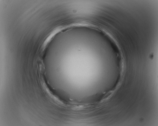 X0000115181481200911251345