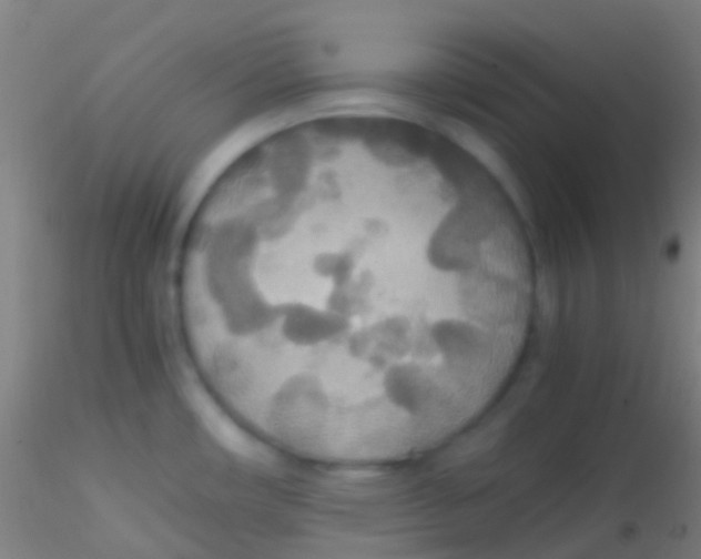 X0000115181482200911251345