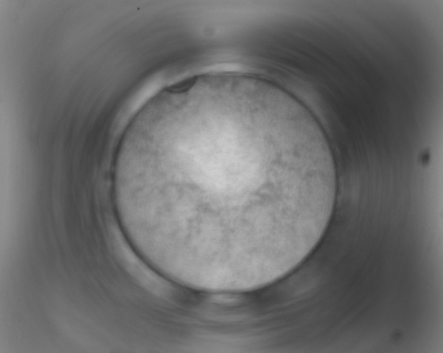 X0000115181483200911251345