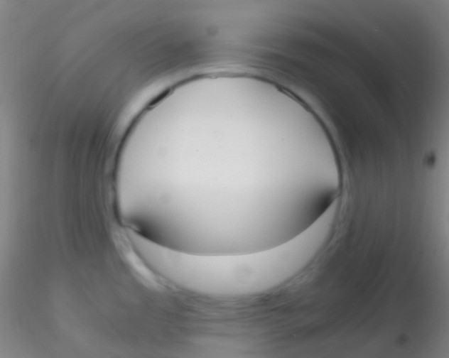 X0000115181485200911251345