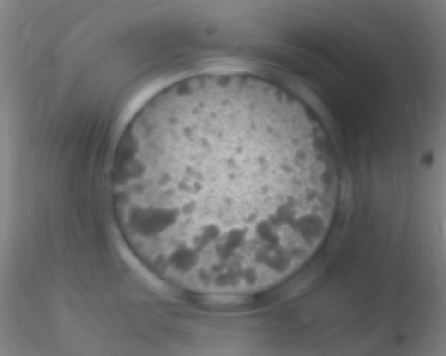 X0000115181487200911251345