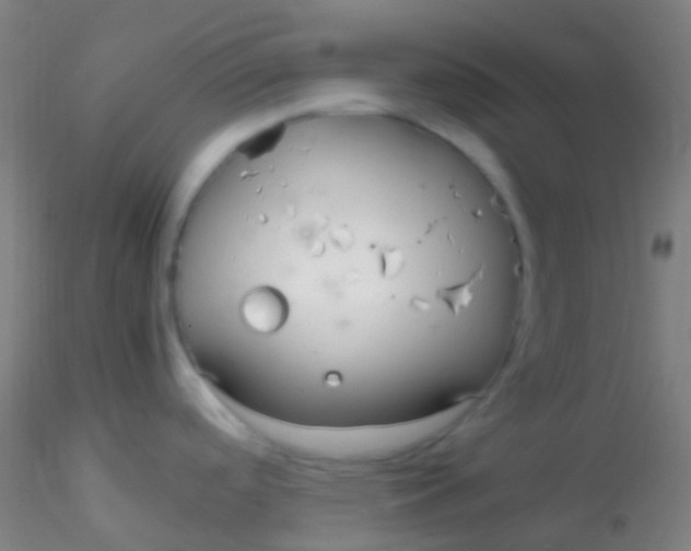 X0000115181488200911251345