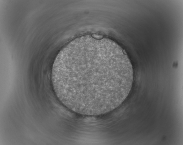 X0000115181489200911251344