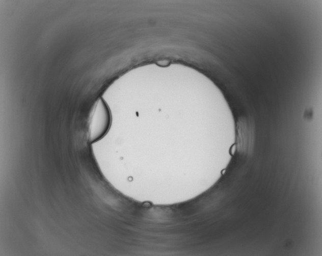 X0000115181491200911251344