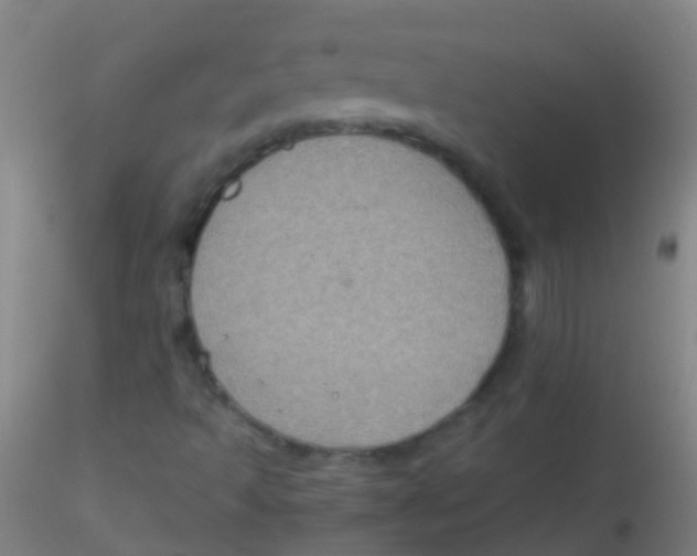 X0000115181493200911251344