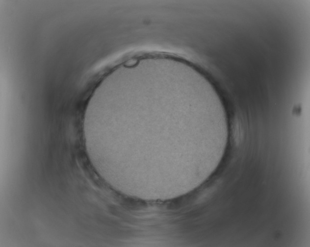 X0000115181494200911251344
