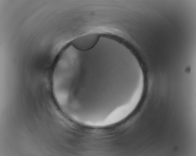 X0000115181497200911251344