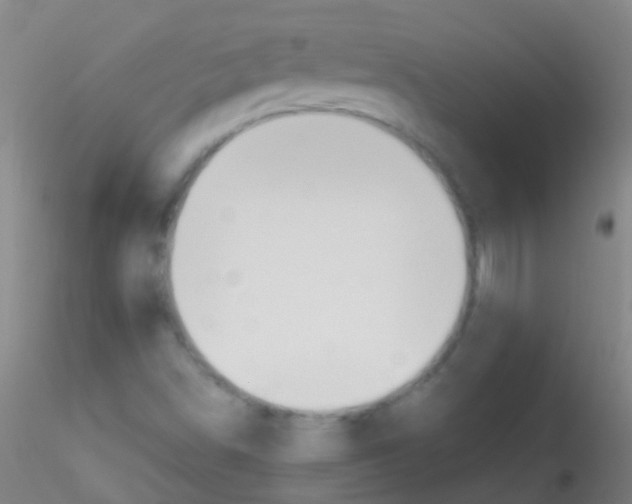 X0000115181498200911251344