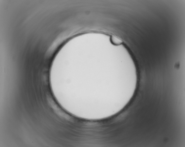 X0000115181499200911251344