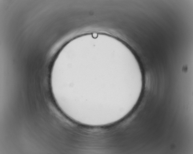 X0000115181502200911251344