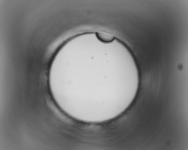 X0000115181503200911251345