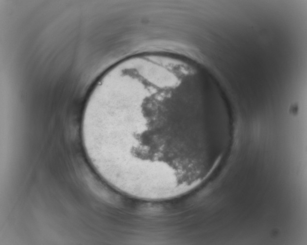 X0000115181505200911251345