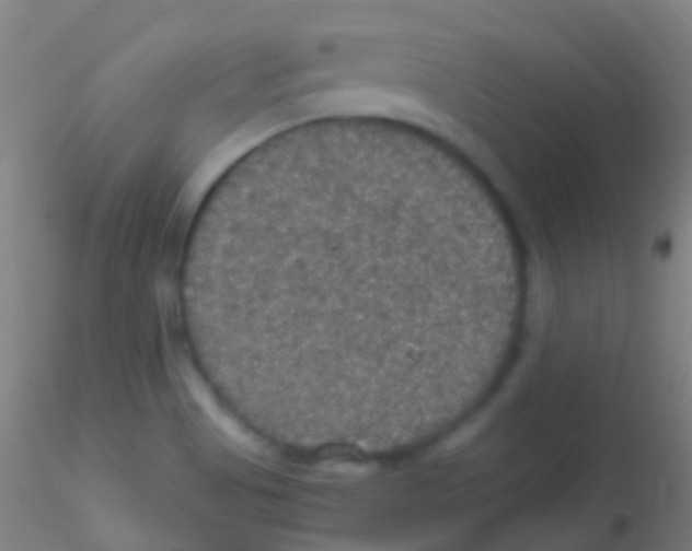 X0000115181513200911251345