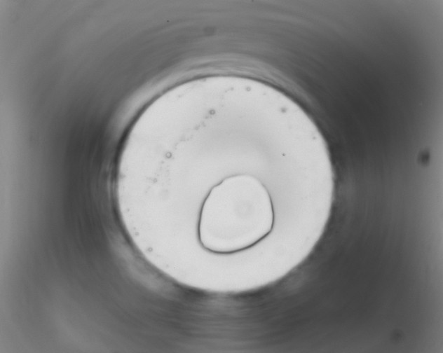 X0000115181514200911251345