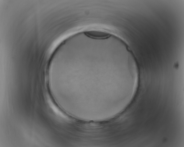 X0000115181515200911251345