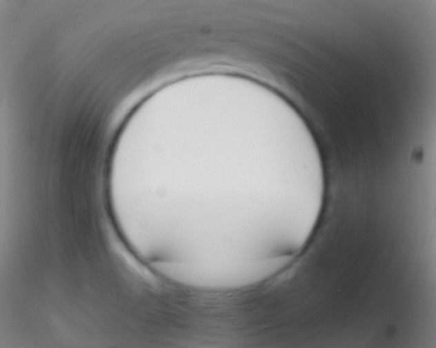 X0000115181518200911251345