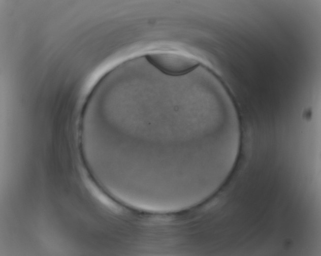 X0000115181519200911251345