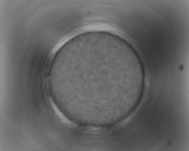 X0000115181521200911251345