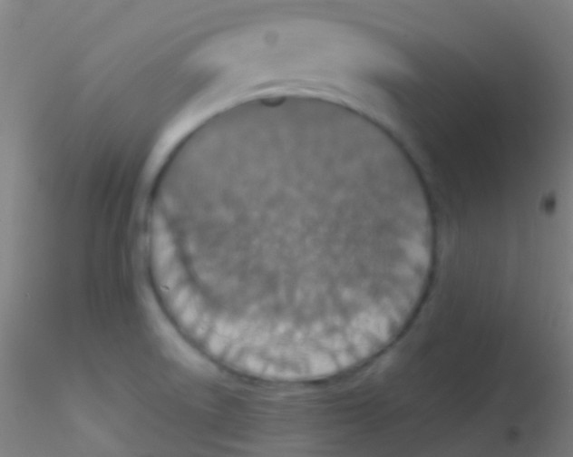 X0000115181522200911251345