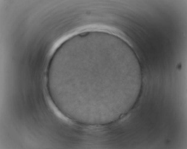 X0000115181523200911251345