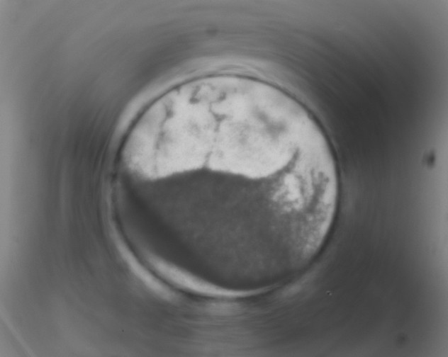 X0000115181525200911251345