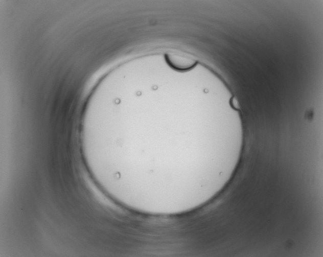 X0000115181526200911251345