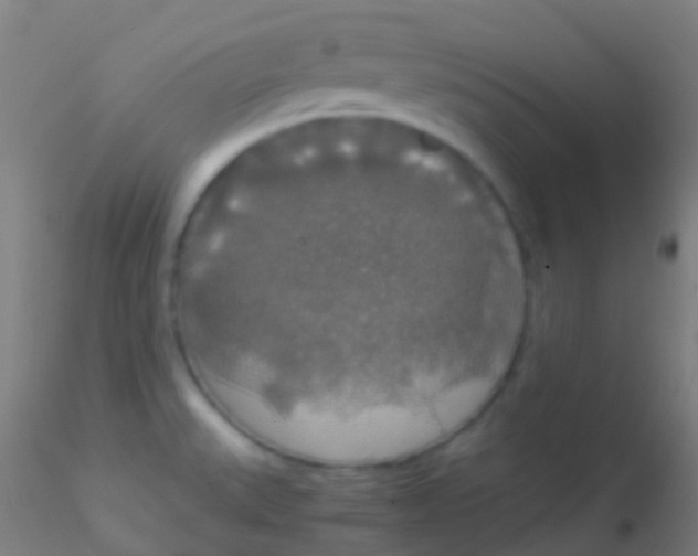 X0000115181527200911251345