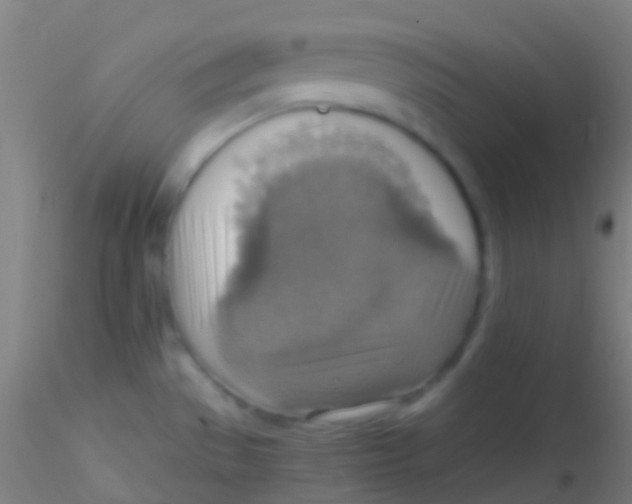 X0000115181529200911251345