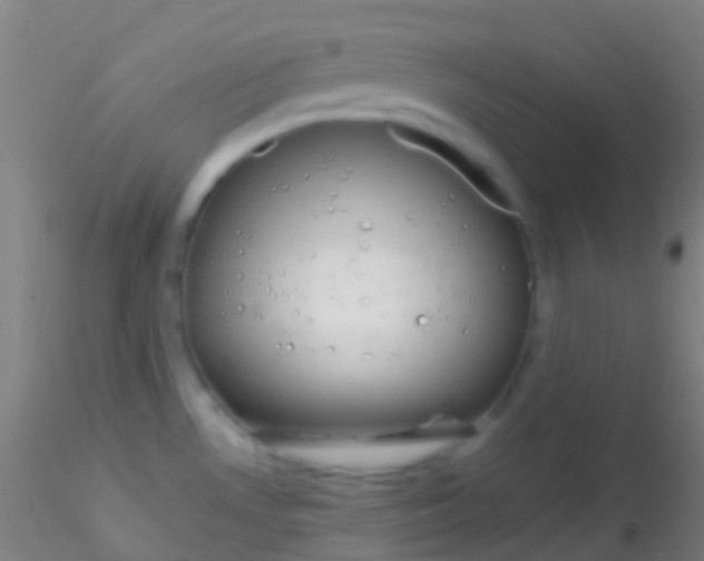X0000115181530200911251345