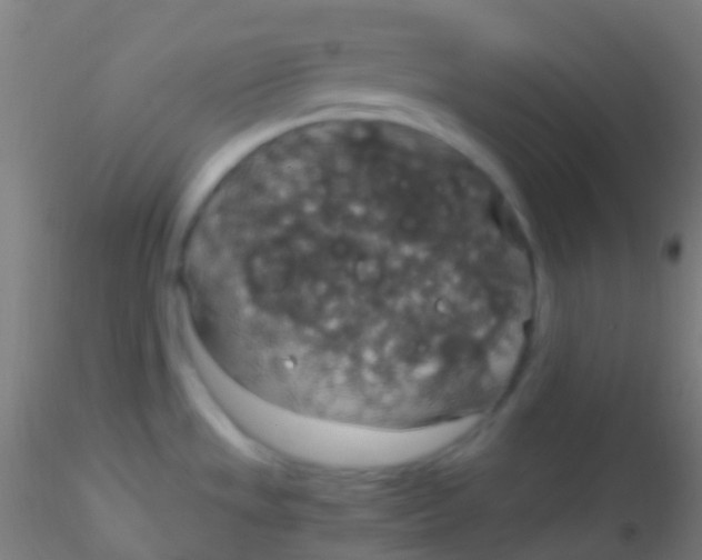 X0000115181533200911251345