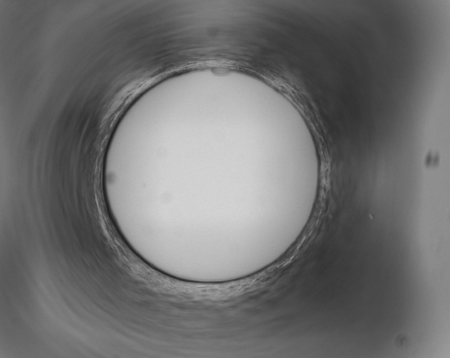 X0000115180001200912091058