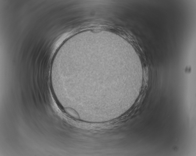 X0000115180003200912091058