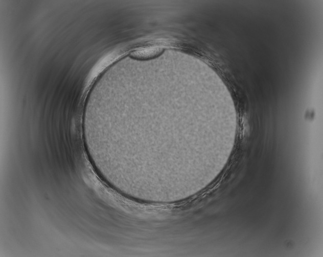 X0000115180004200912091058