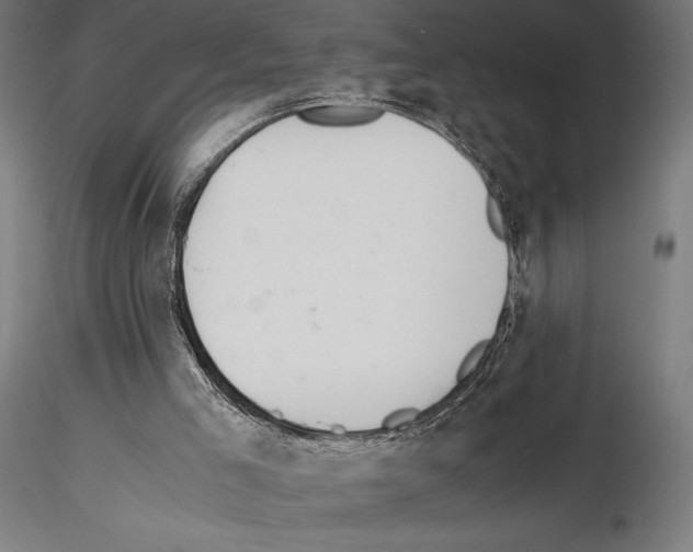 X0000115180005200912091058