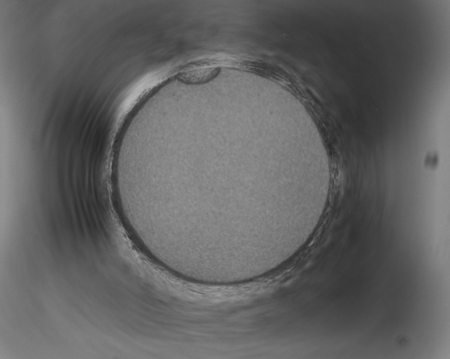 X0000115180006200912091058