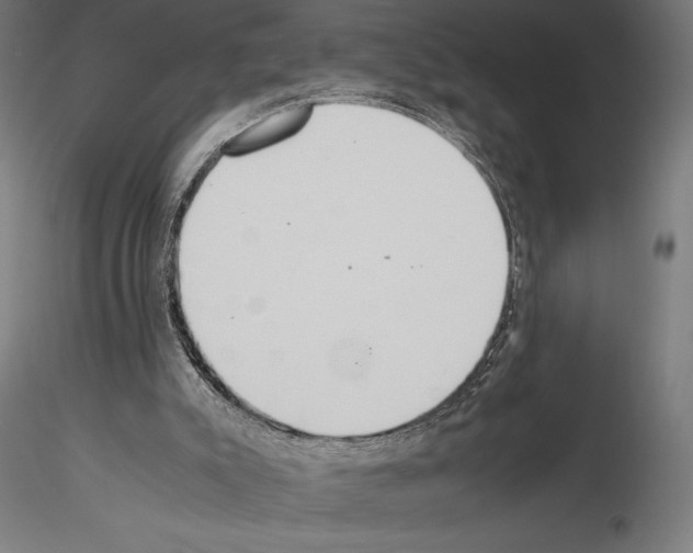 X0000115180007200912091058