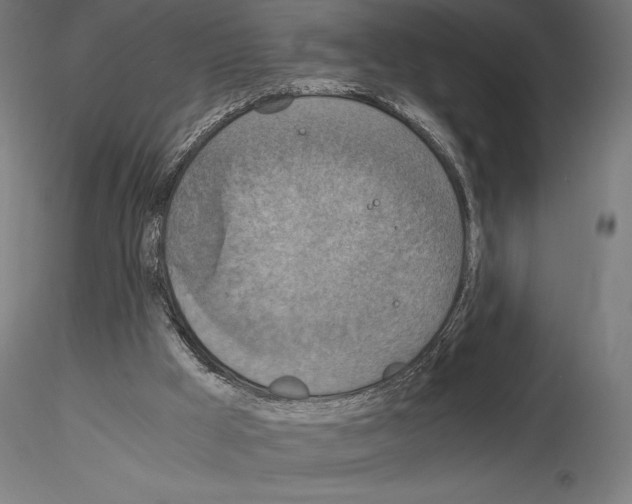 X0000115180009200912091058