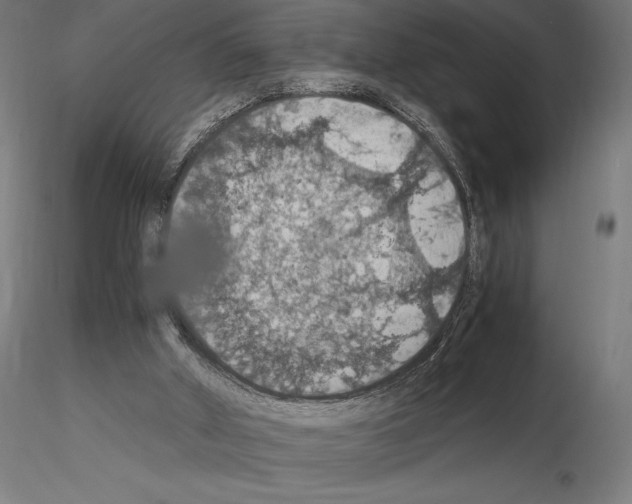 X0000115180010200912091058