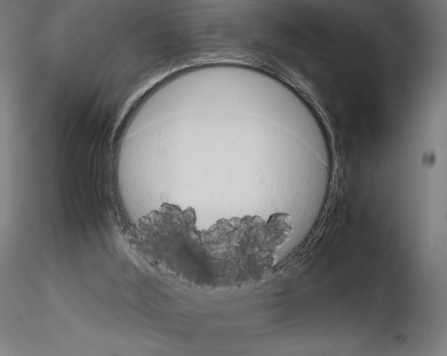 X0000115180012200912091058