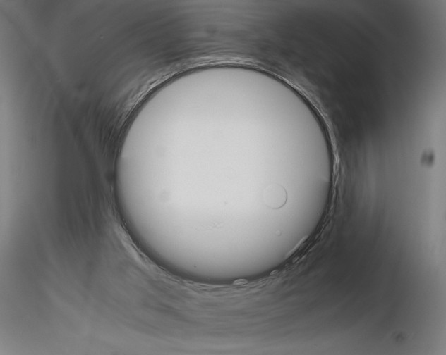 X0000115180013200912091058