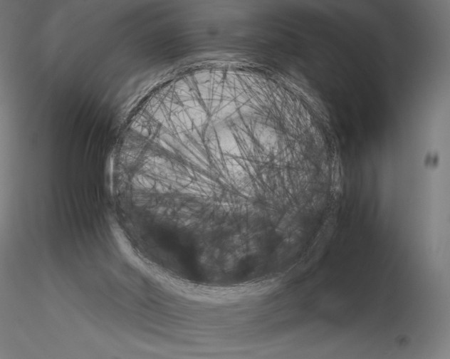 X0000115180014200912091058