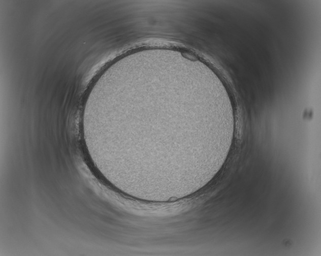 X0000115180015200912091058