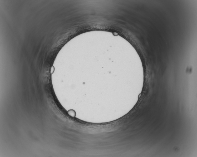 X0000115180017200912091058