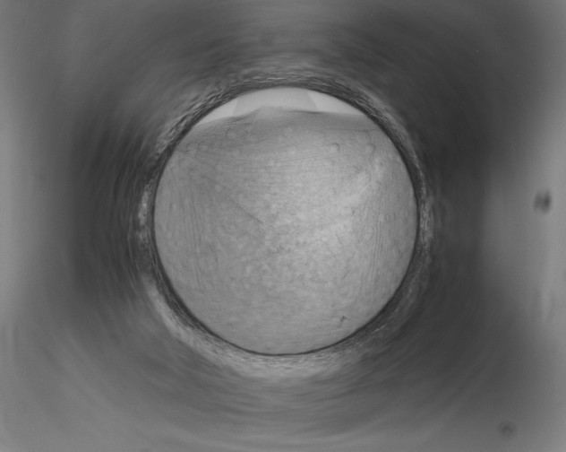 X0000115180018200912091058