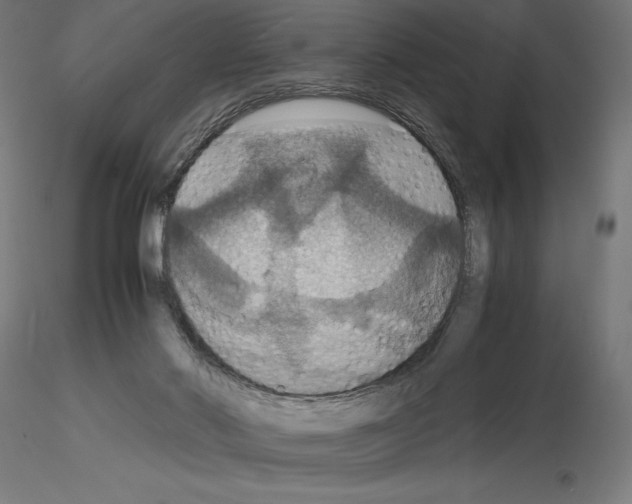 X0000115180022200912091058