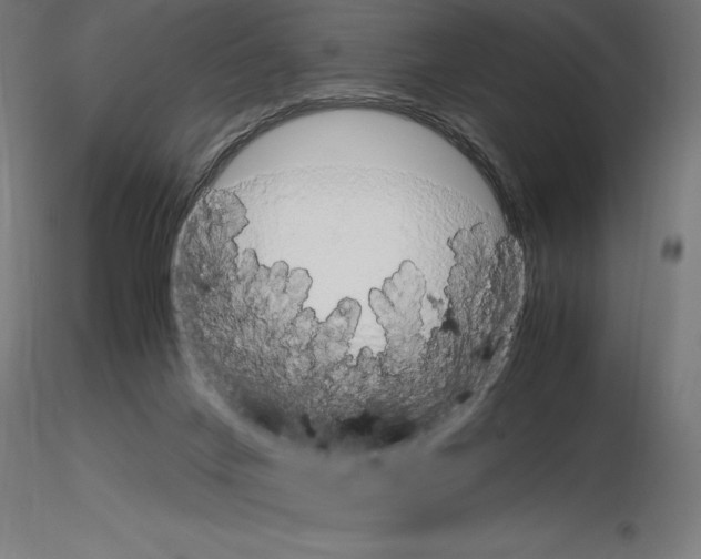 X0000115180024200912091058