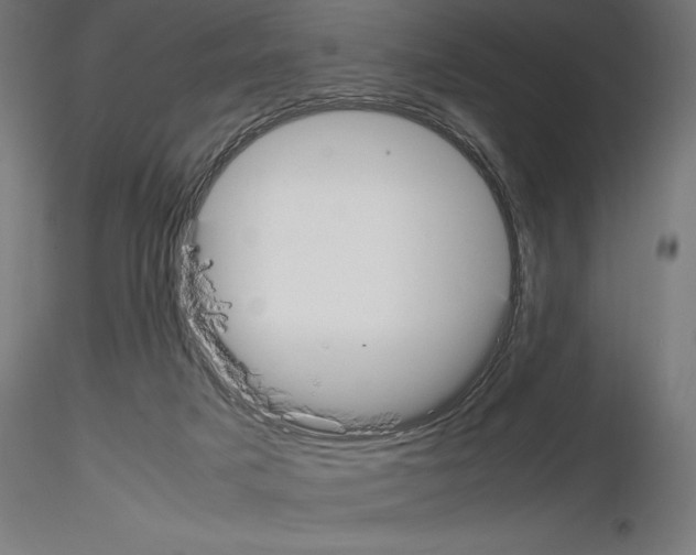 X0000115180025200912091057