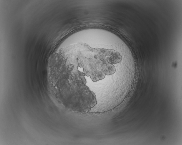 X0000115180028200912091057