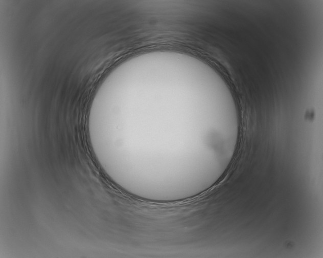 X0000115180029200912091057